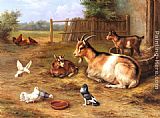 A Farmyard Scene with goats, chickens, doves